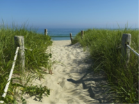 Personal Growth. beach path